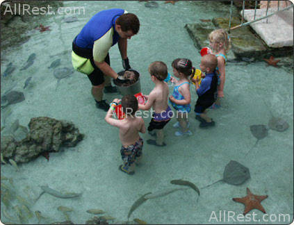 Atlantis Paradise Island Resort 28